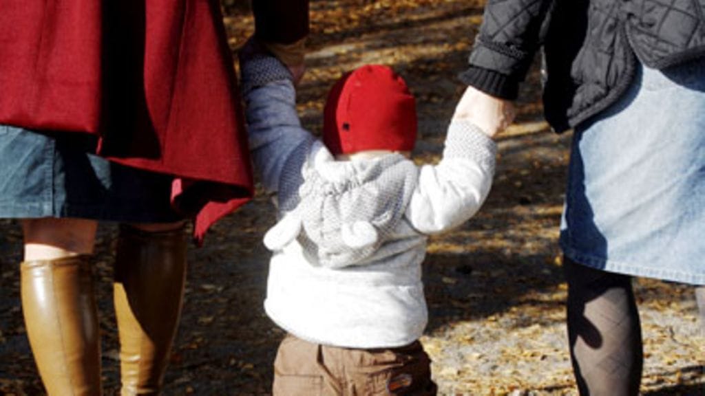 Äitiyslakiuudistuksen tavoite on turvata naisparien lasten oikeudet siten, että naisparin ei tarvitsisi enää tehdä perheen sisäistä adoptiota, jotta toinenkin äiti olisi virallisesti lapsen vanhempi.