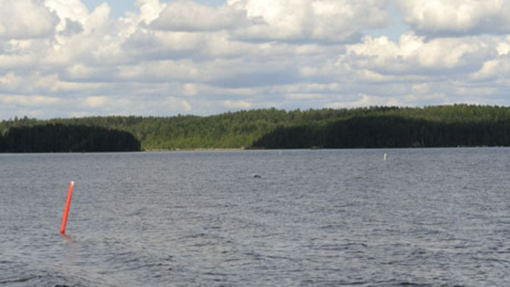 Kuvituskuva.