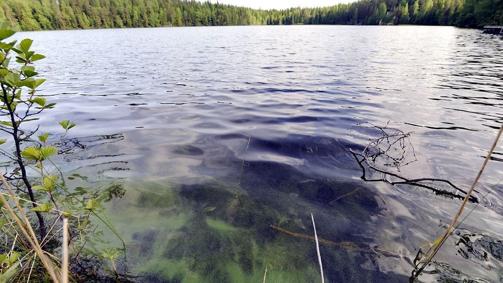 Arkistokuva Usminjärven uimarannalta Hyvinkäältä.