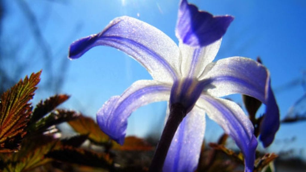 Kuva: Helena Tornberg