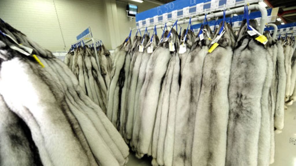 Turkiksiin liittyviä rikoksia ja niiden yrityksiä on tapahtunut tässä kuussa jo muutama. Arkistokuva turkishuutokaupasta.