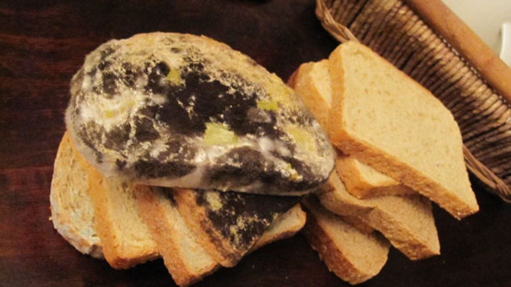 Hiukan yli viikon vanha leipä voi näyttää todella erilaiselta. Kuva: Miia Hakkarainen