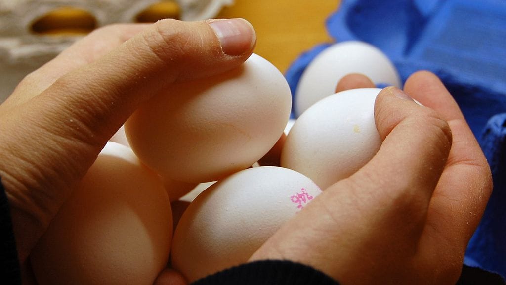 Poliisilla on ollut Kainuussa syksyn ja talven aikana ollut useita tehtäviä liittyen kananmunien heittelijöihin.