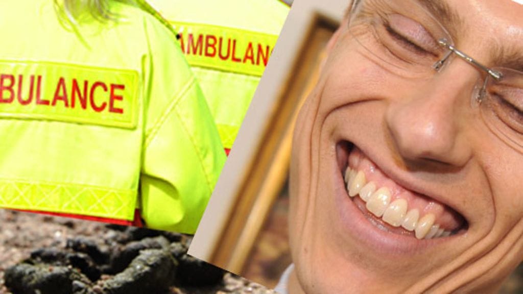 Käyttäjä Jakke on sitä mieltä, että "Allu (Stubb) omaa niin valkoset hampaat, että jenkitki on kateellisia." Määritelmissä kukkimaan pääsevät niin koirankakat kuin sairaanhoitajatkin.