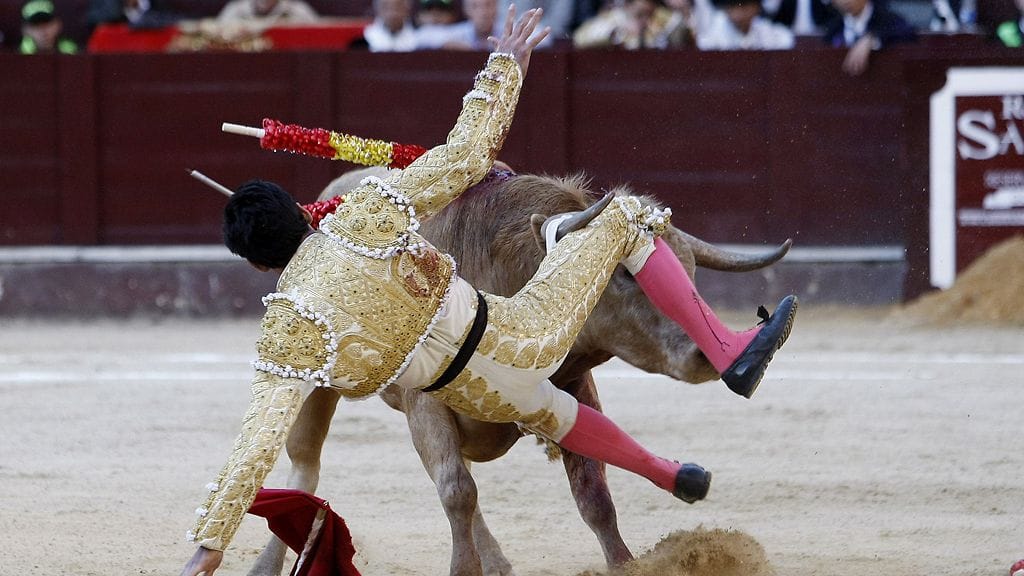 Colombian bullfighter Juan Viriato is tossed by a bull during the bullfight at the Santamaria Bullring in Bogota, Colombia, 14 January 2012.