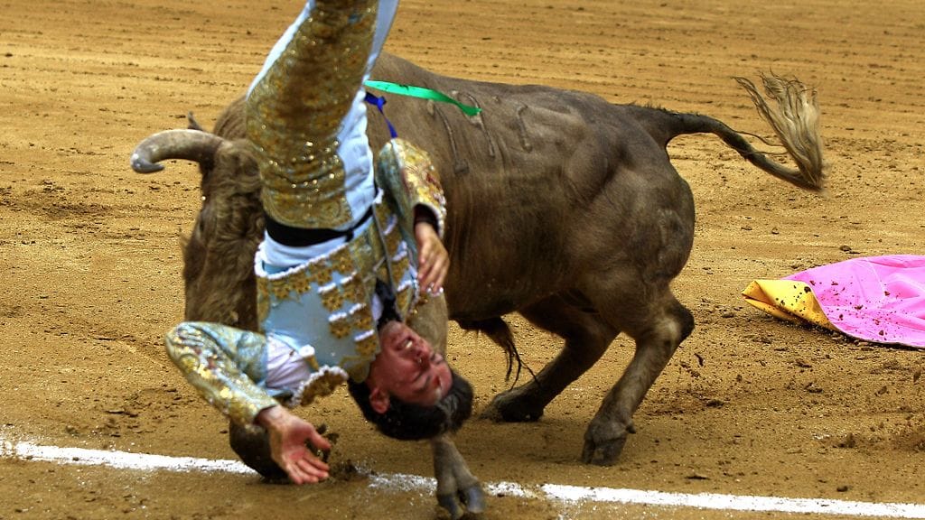 Ecuadorian bullfighter Juan Francisco Hinojosa is tossed by a bull during the bullfight of 'Jesus del Gran Poder Fair' held at Quitos bullring, Ecuador, 2 diciembre 2011.