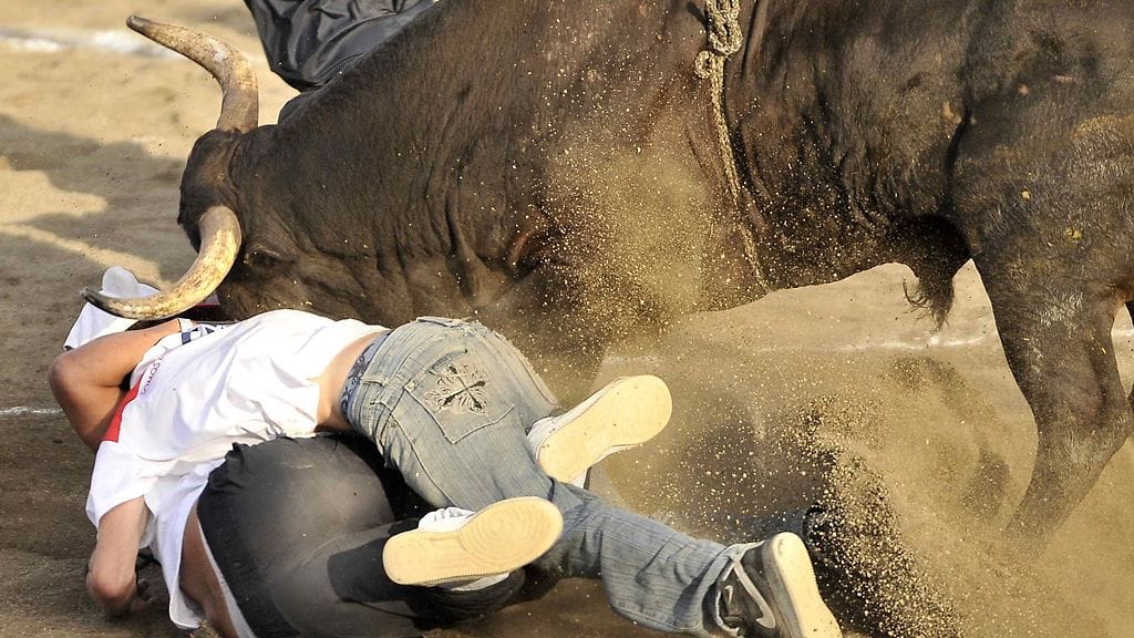 Amateurs are being charged by a bull during the traditional bullfights in the Bullring of Zapote in the city of San Jose, Costa Rica, 27 December 2011.