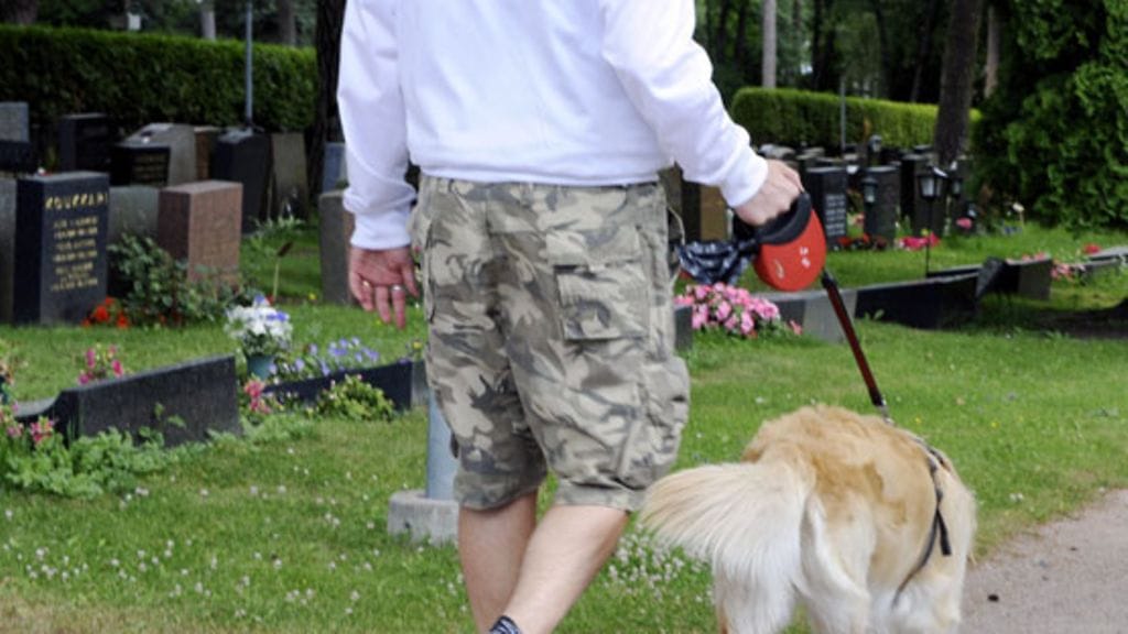 Ulkoiluttaja koiransa kanssa Hietaniemen hautausmaalla 6. heinäkuuta 2009. (LEHTIKUVA)