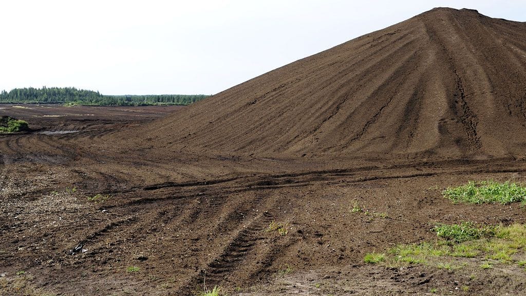 Turvekasa Pudasjärvellä 21. elokuuta 2009. (MTV3/Lehtikuva)