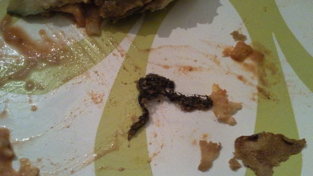 Tällainen karvainen yllätys odotti nuorta miestä kebab-annoksessa Porissa. Kuva: Lukijan kuva
