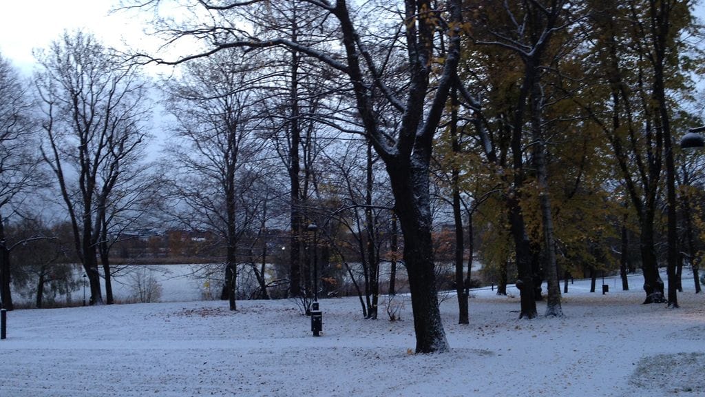 Syyttäjä vaatii 20-vuotiaalle irakilaismiehelle vähintään 4,5 vuoden vankeutta Helsingin Töölössä Hesperian puistossa tapahtuneesta törkeästä raiskauksesta.