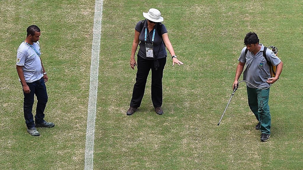 Työntekijä maalasi nurmea vihreäksi.