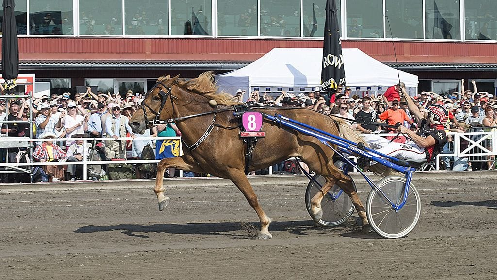 Kuningatarkilvan avausmatkan voittaja Saaga S ohjaissaan Matti Niisonen.