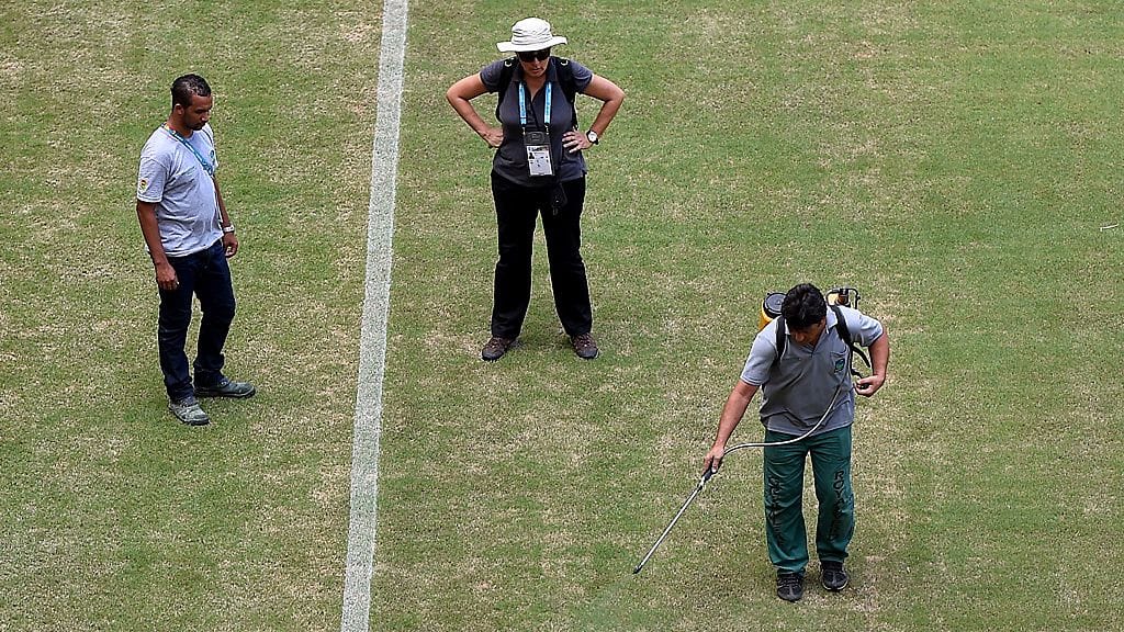 Työntekijä maalasi nurmea vihreäksi.