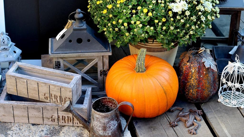 shutterstock_156380780