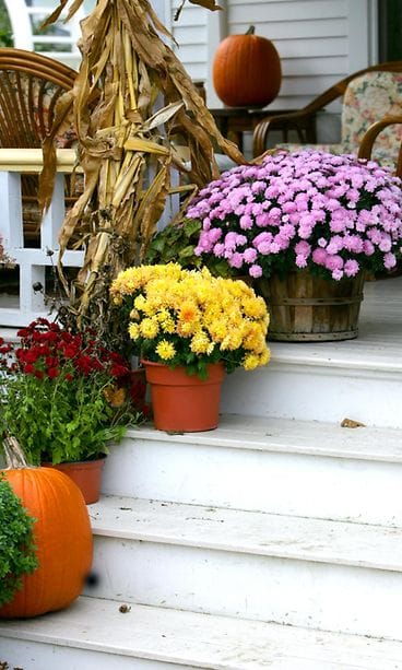 shutterstock_62568898