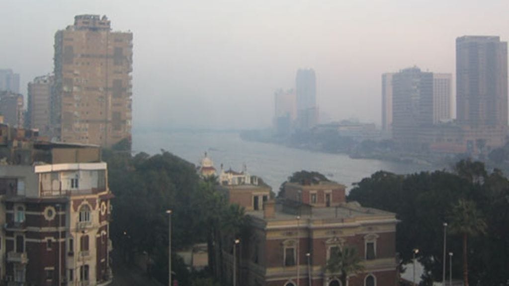 Maria Westerholm, Finpro