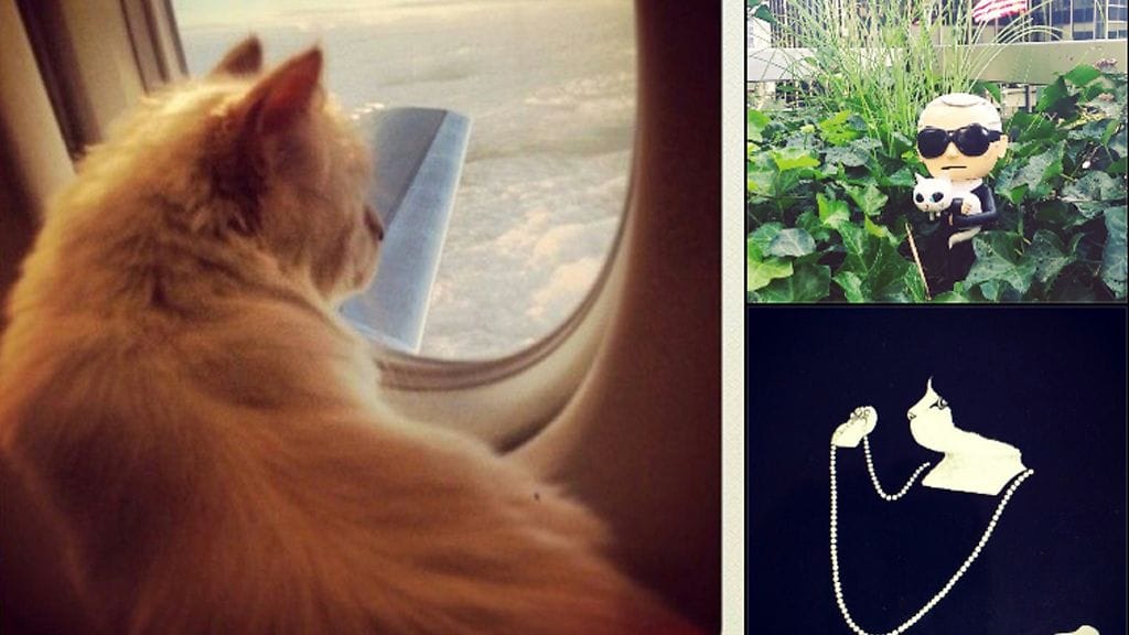 choupettesdiary-1