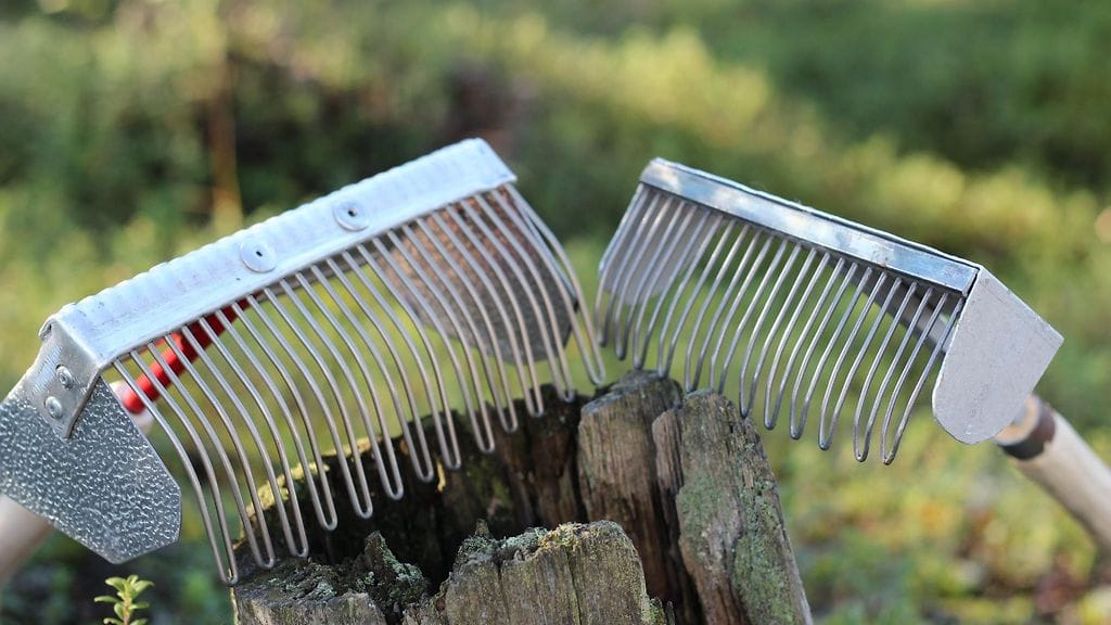 Puolukan poiminta on täydessä vauhdissa. Seuraavaksi poimitaan suppilovahveroita.