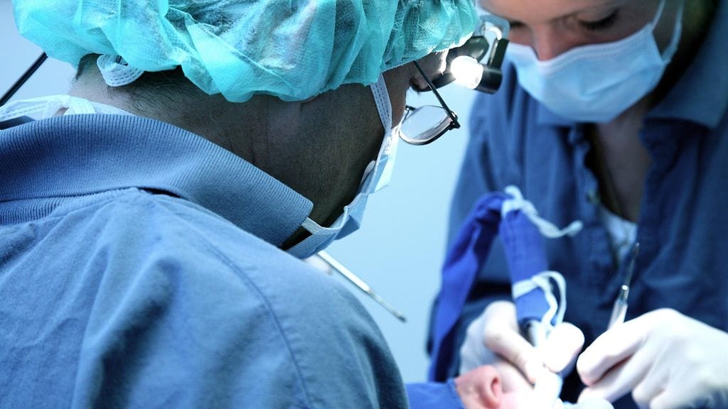 Hampaita joudutaan toisinaan poistamaan muun muassa tapaturmien ja vakavien ientulehdusten vuoksi. Kuvituskuva.