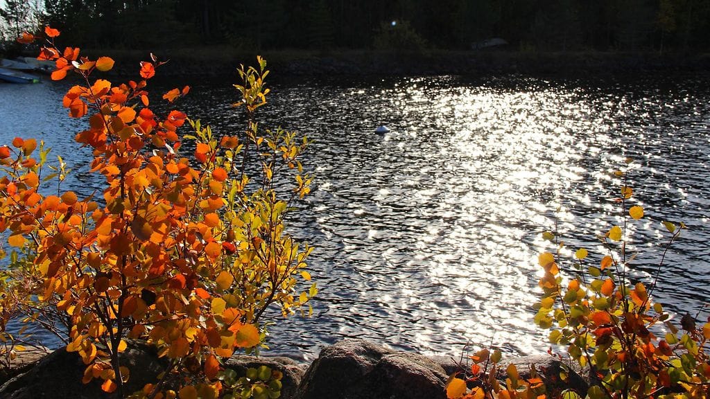 Uimataidoton lapsi joutui veden varaan Tampereella viime vuoden lokakuussa. Kuvituskuva.