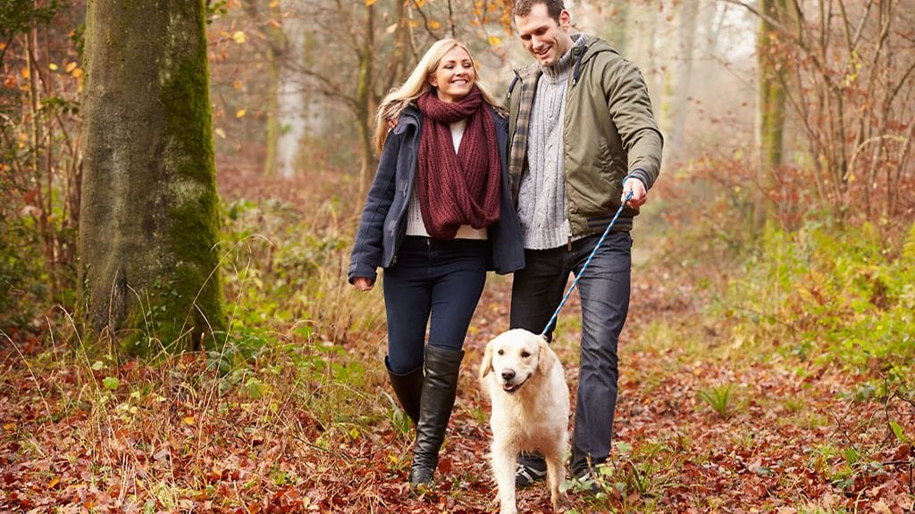 Suomalaiset ulkoilevat mielellään luonnossa. Usein mukana on joku perheenjäsen.