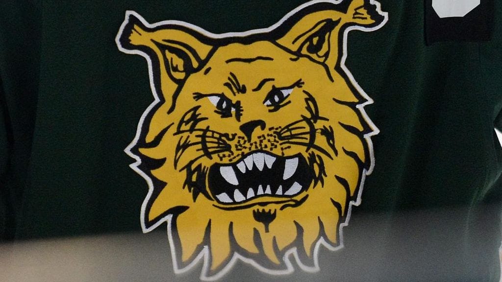 Ilves-fanit kyyneleet vaihtuivat iloksi.