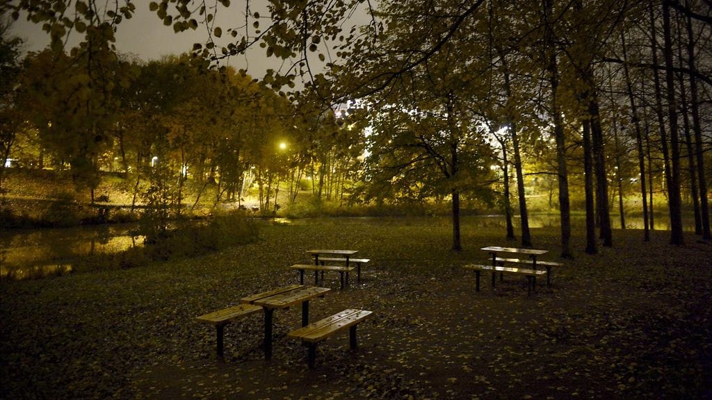 Suurimmassa osassa seksuaalisesta väkivallasta uhri ja tekijä tuntevat toisensa. Niin sanotut puskaraiskaukset ovat vähemmistössä. Kuvituskuva.