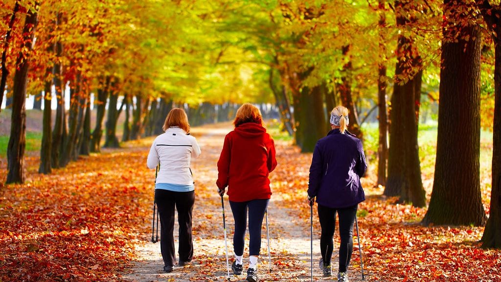 Liikunta tukee luonnon hyvää vaikutusta. Kuvituskuva.