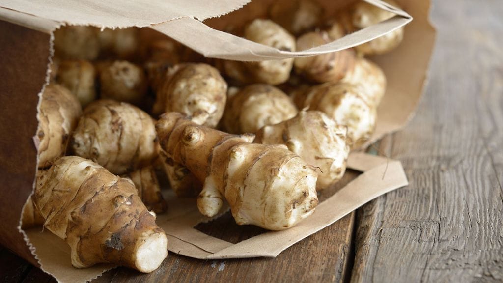 Maa-artisokan säilytyksessä kannattaa olla tarkkana, sillä tämä juures nahistuu helposti.