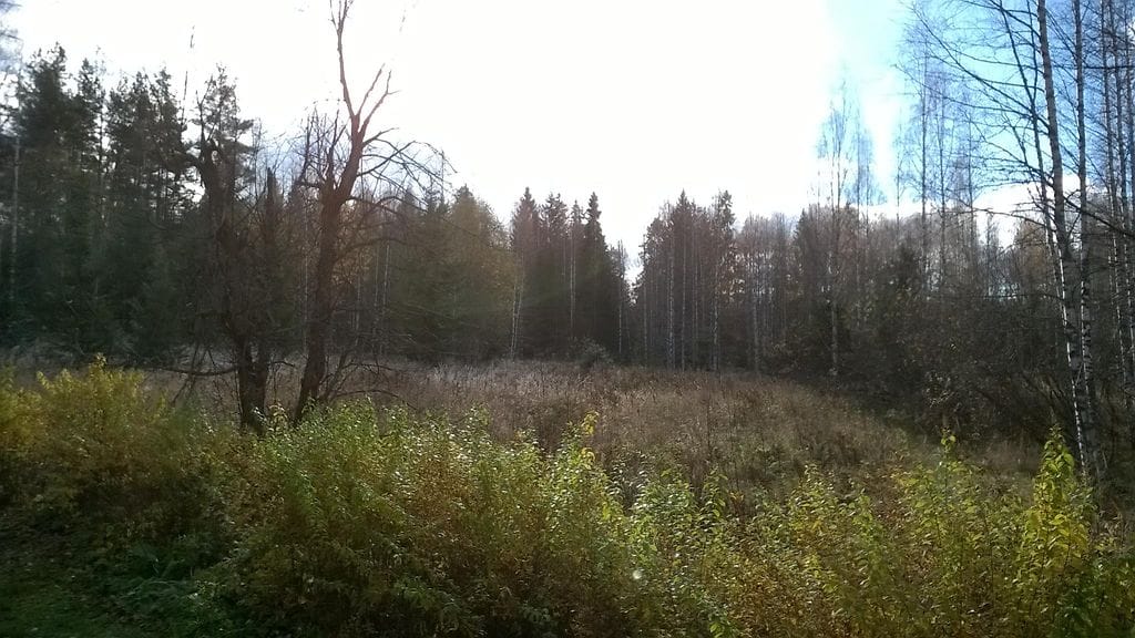 Nokia Lumia 735 -selfiepuhelimella otettu kuva