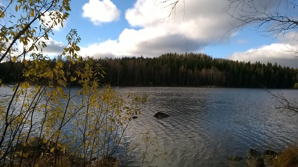 Nokia Lumia 735 -selfiepuhelimella otettu kuva