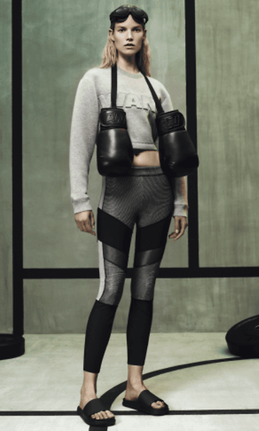 alexander wang (1)