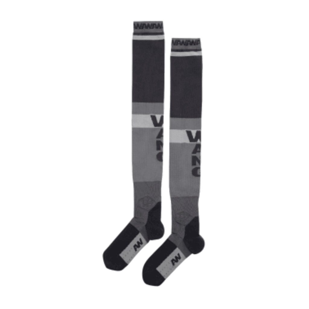 Alexander Wang x H&M