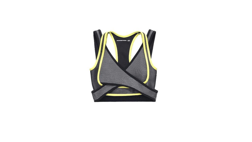 Alexander Wang x h&m (1)