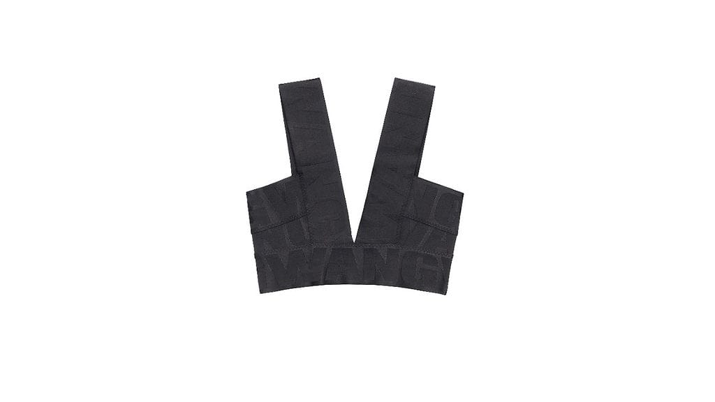 Alexander Wang x h&m (2)