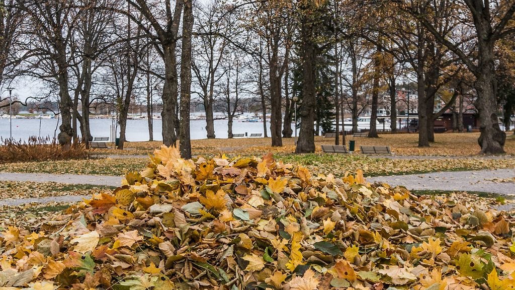 Kuukausiennusteen mukaan lokakuun loppu on kuiva mutta melko pilvinen. Kuva: Pepe Salo, Lappeenranta.