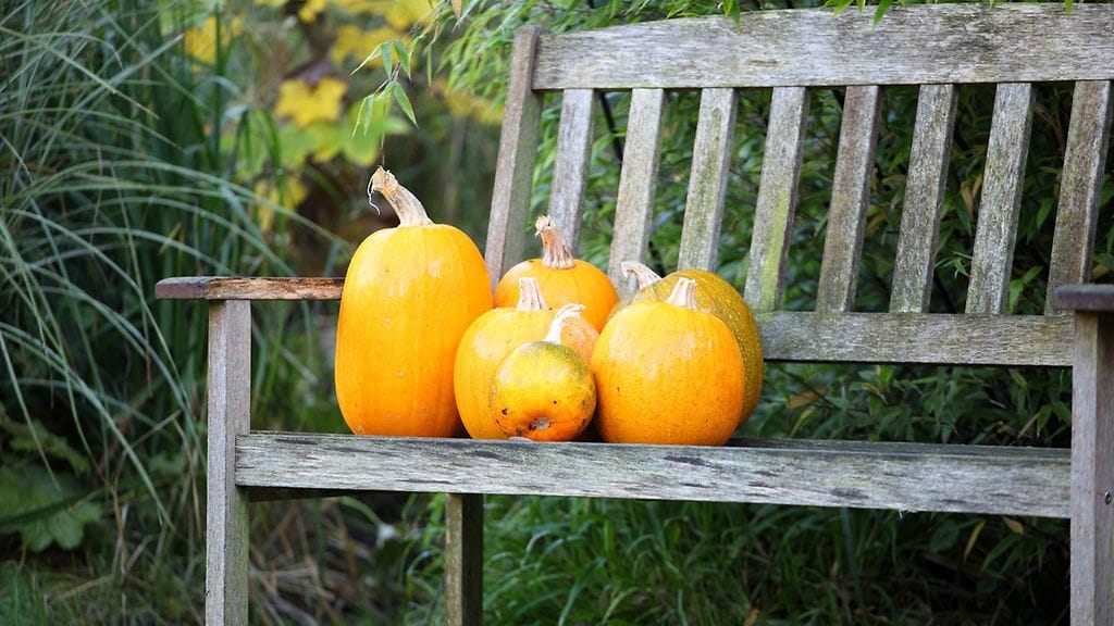 shutterstock_67113439 (1)