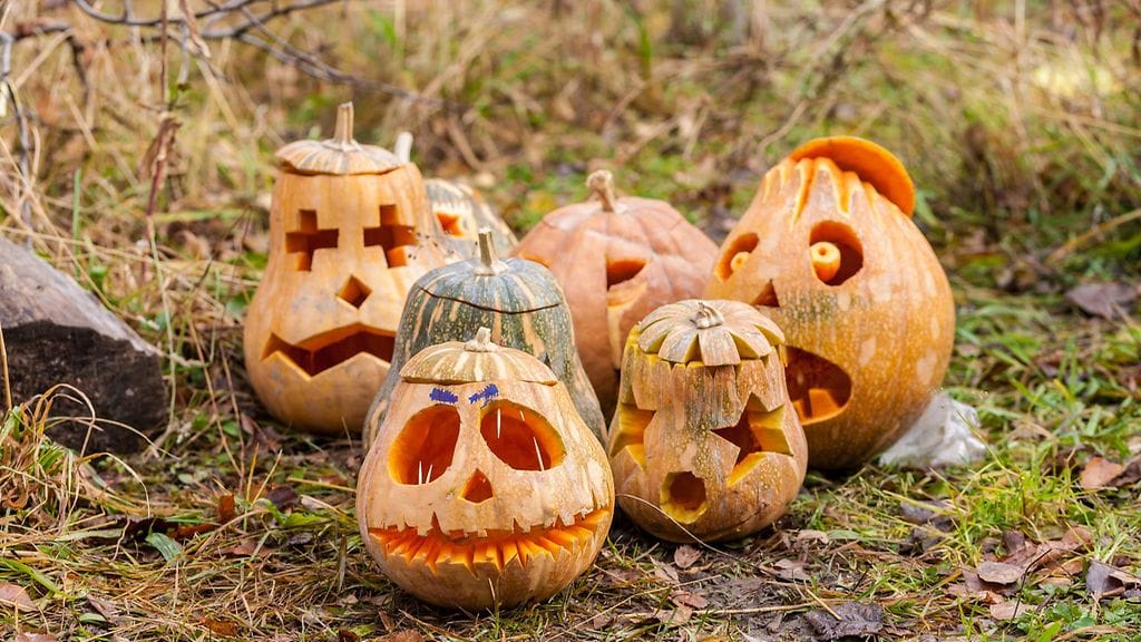 shutterstock_164519720