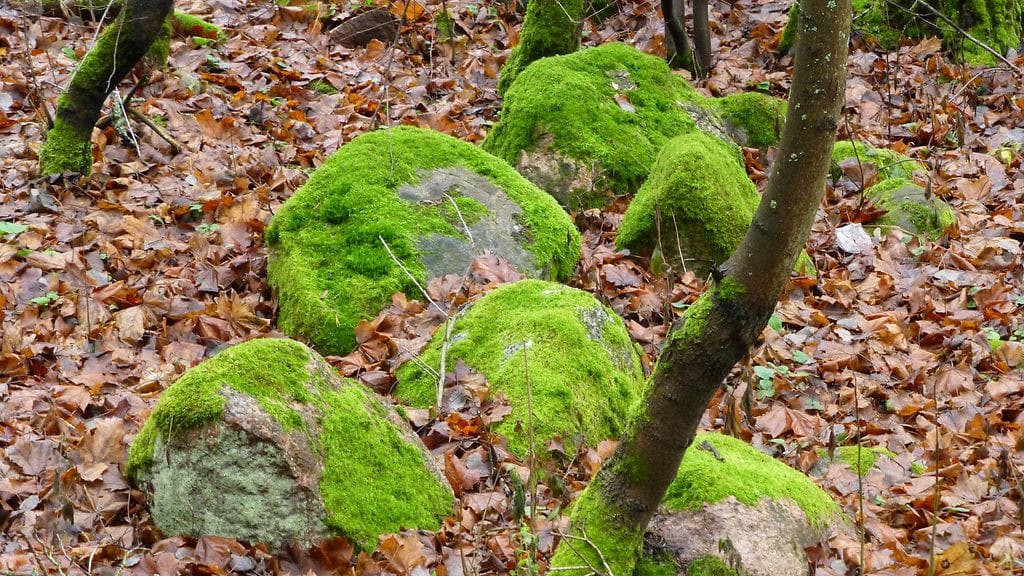 Poliisi ei epäile tapahtuneeseen liittyvän rikosta.