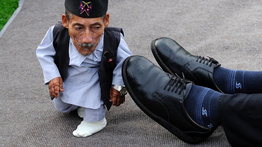 Maailman lyhimmän ja pisimmän miehen kokoero on melkoinen.