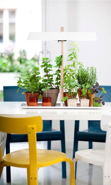 Green_Light_0341