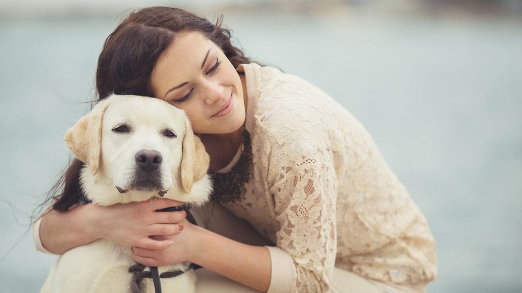 Kaikki ansaitsevat lämpimän halauksen.