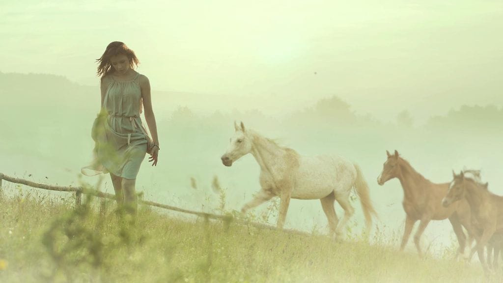 Millaiset elämänneuvot ohjaavat sinua eteenpäin?