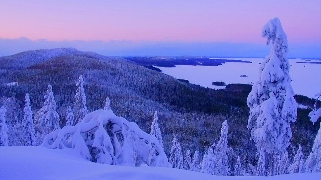 Luonnon rahallista arvoa voidaan yrittää laskea, jos se on tarpeen poliittisten päätösten tueksi.