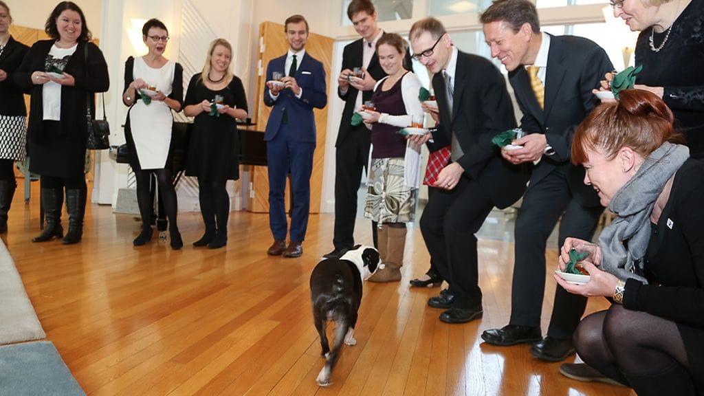 Presidentti Sauli Niinistön ja rouva Jenni Haukion Lennu-koira otti innokkaasti vastaan joulutervehdyksiä Mäntyniemessä.