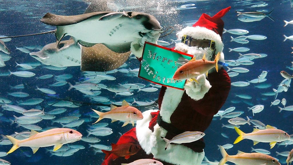 Tokiolainen joulupukki toivottaa hyvää joulua rauskujen seasta Japanissa 22.12.2014.