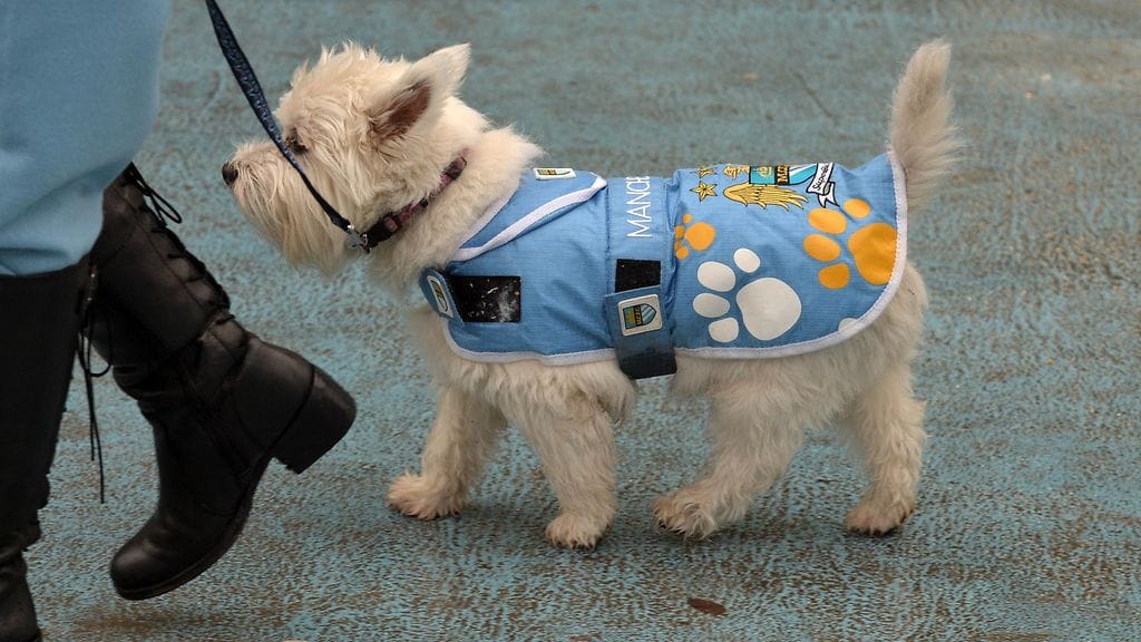 Terrieri osallistui joulupukkitapaamiseen! Annual Manchester City F.C Santa Stroll 2014