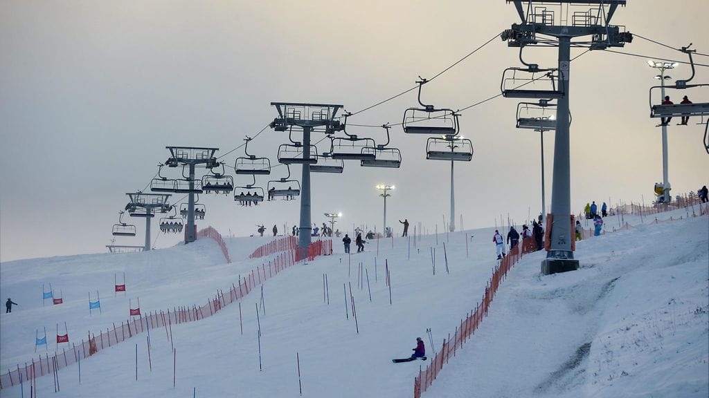 Pitkä kiistavyyhti sai alkunsa vuonna 2013 Levin hiihtokeskuksen hissihankinnoista ja hiihtokeskusyhtiön toimitusjohtajan Jouni Palosaaren erottamisesta.