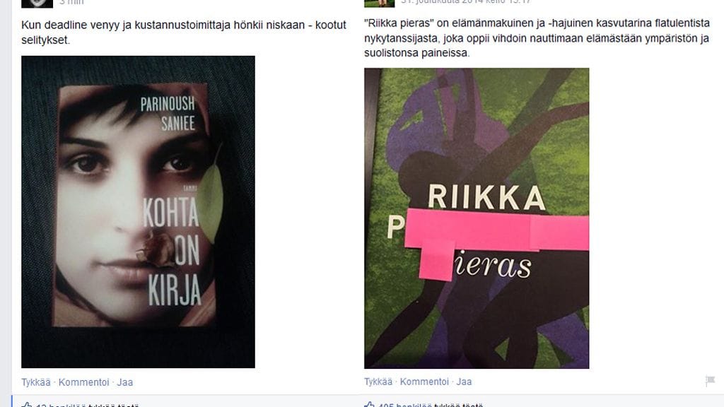 Kuvakaappaus Vaihtoehtoinen juonitiivistelmä -Facebook-sivulta